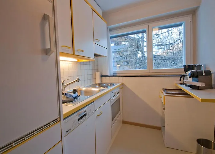 Haus Matten, Birch * 采尔马特