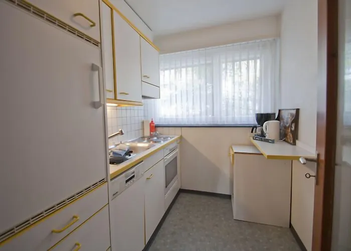 Haus Matten, Birch Apartmán *