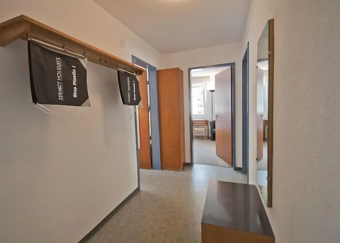 Haus Matten, Birch * 采尔马特